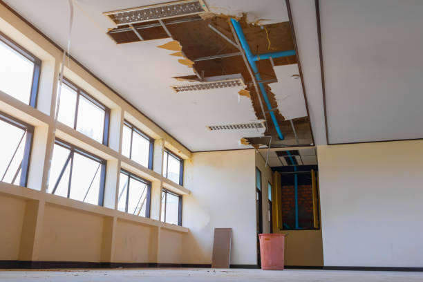 Best Carpet water damage restoration  in Calverton, MD