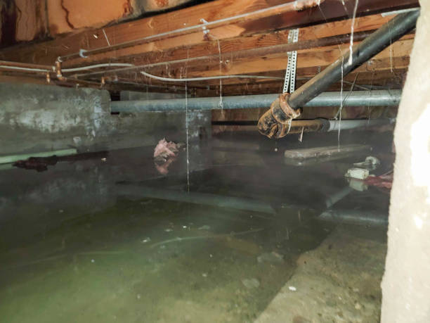 Best Fire Damage Restoration  in Calverton, MD