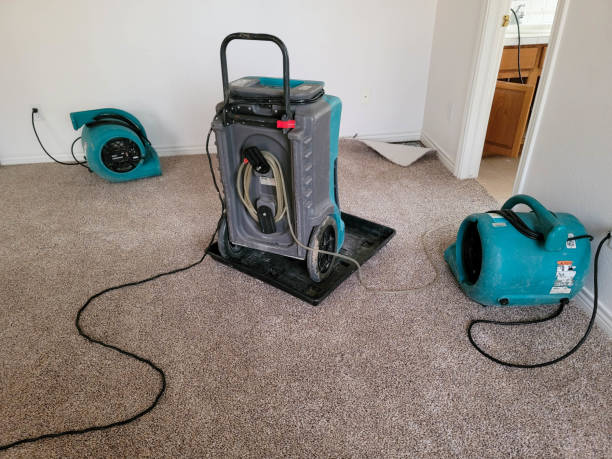 Best Fire Damage Restoration  in Calverton, MD