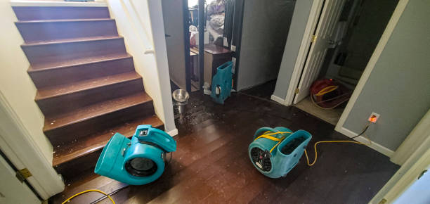 Best Water damage contractors near me  in Calverton, MD