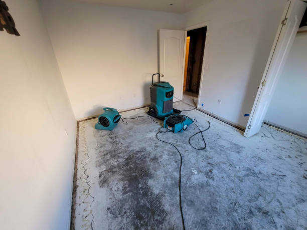 Best Flood damage cleanup  in Calverton, MD