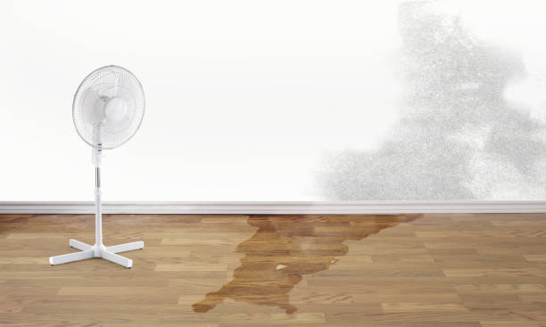 Best Flood restoration services  in Calverton, MD