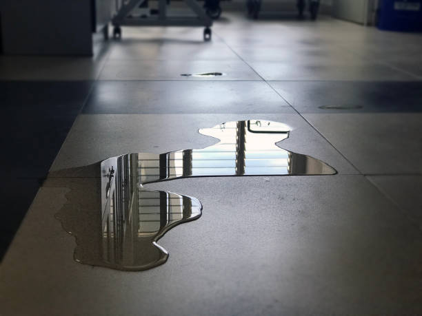 Best 24/7 water damage repair  in Calverton, MD