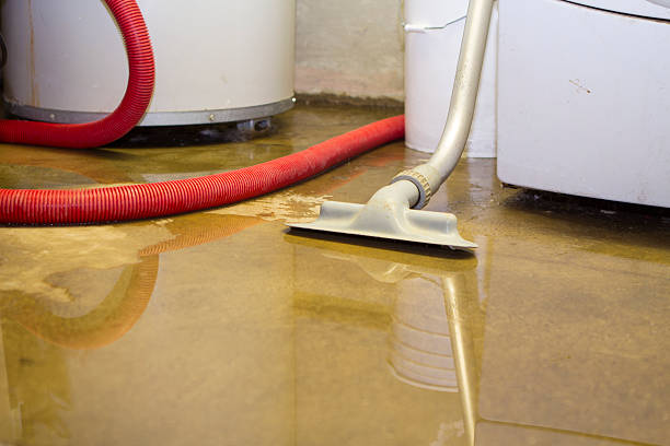 Best Flooded house restoration  in Calverton, MD