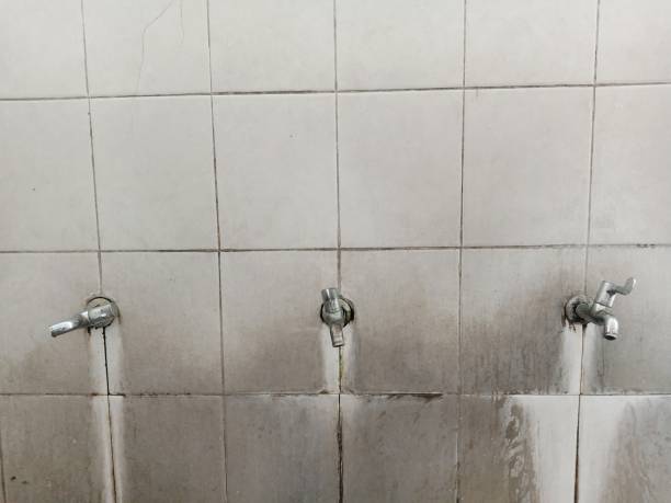 Carpet water damage restoration in Calverton, MD
