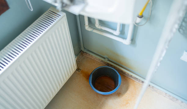 Best Professional water damage repair  in Calverton, MD