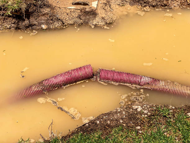 Best Water damage contractors near me  in Calverton, MD
