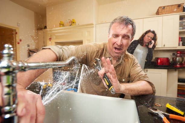 Best Local water damage restoration  in Calverton, MD